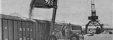 1981 год